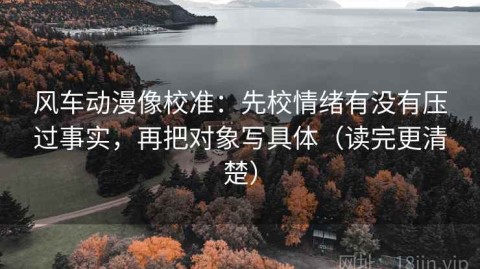 风车动漫像校准：先校情绪有没有压过事实，再把对象写具体（读完更清楚）