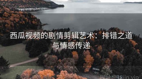 西瓜视频的剧情剪辑艺术：排错之道与情感传递