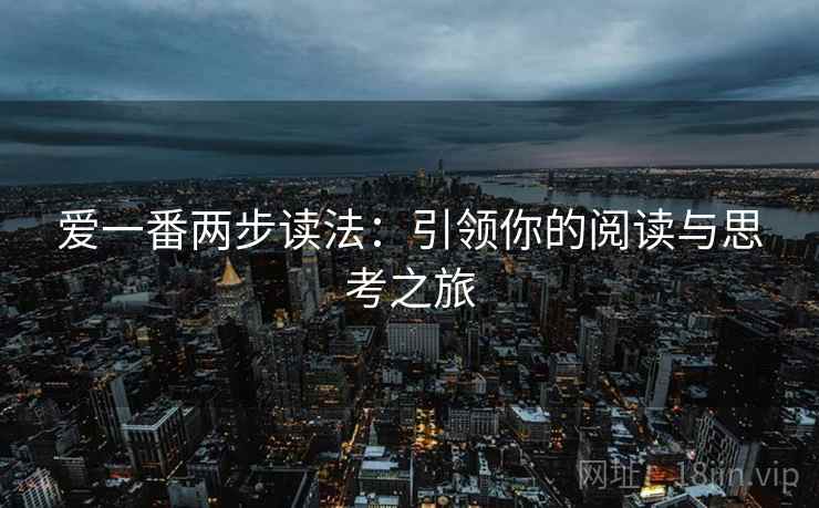 爱一番两步读法:引领你的阅读与思考之旅 爱一番两步读法:引领你的阅读与思考之旅